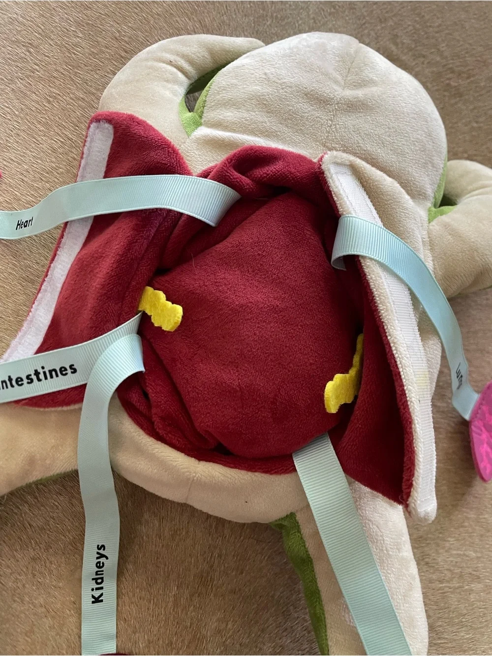 Frog Dissection Plush
